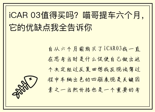 iCAR 03值得买吗？喵哥提车六个月，它的优缺点我全告诉你