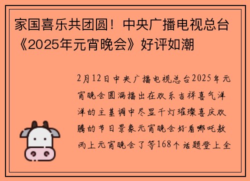 家国喜乐共团圆！中央广播电视总台《2025年元宵晚会》好评如潮