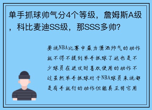 单手抓球帅气分4个等级，詹姆斯A级，科比麦迪SS级，那SSS多帅？