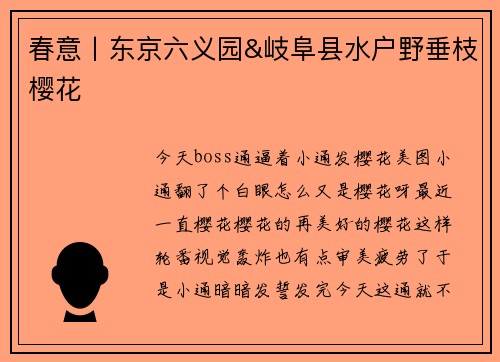 春意丨东京六义园&岐阜县水户野垂枝樱花