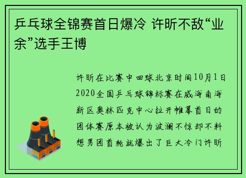 乒乓球全锦赛首日爆冷 许昕不敌“业余”选手王博